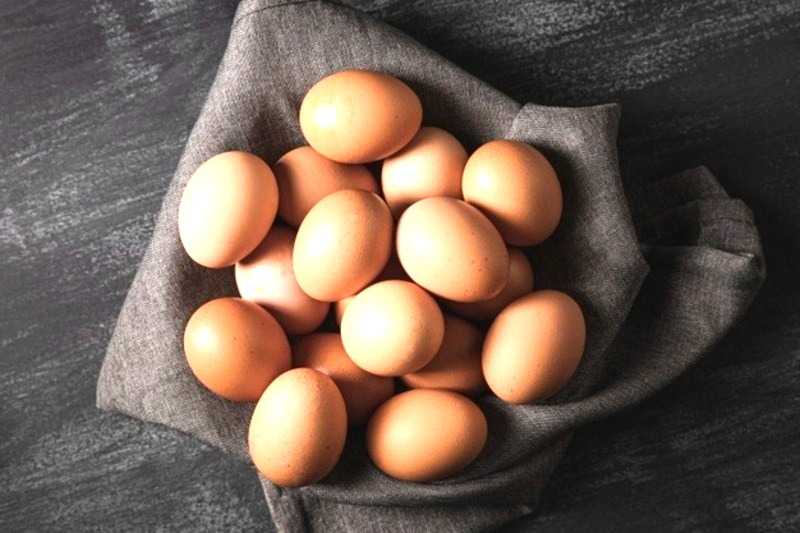cost of dozen eggs