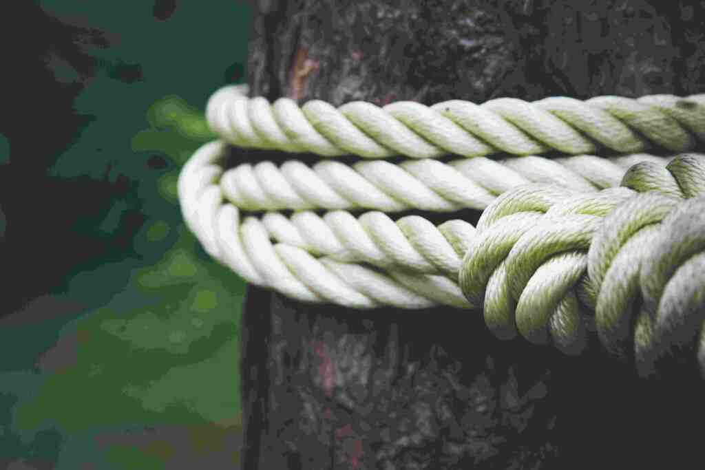 best lasso rope for beginners